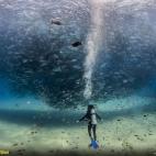 El miembro de Your Shot Jeff Hester se sumergió para tomar esta imagen porque, según dice, cree que "así es como nuestros oceános deberían parecer". Sin embargo, Cabo Pulmo, en la península de la Baja California de México, no ha sido siem...