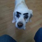 5c8b829b360000a61b6d435a