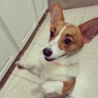 5c8b829b24000093024da9e9