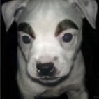 5c8b829b2300003000e860b3