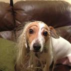 5c8b829c200000430470f1af