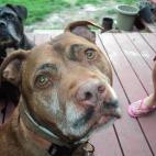 5c8b829c2500000d04cad9e1