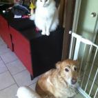 5c8b829d2000009e0470f1b3