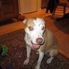 5c8b829d3b000070066dc339