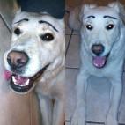 5c8b829d2400006c05a4e68e