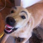 5c8b829e200000430470f1b9