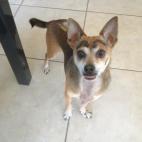 5c8b829e240000f404a4e690