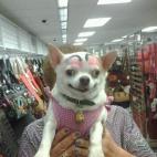 5c8b829f240000f404a4e692