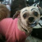 5c8b829f2300007f0124ea9e