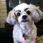 5c8b829f200000430470f1c2