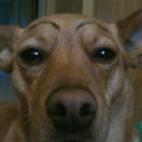 5c8b82a12400006b054da9fd