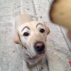 5c8b82a12400004205a4e698