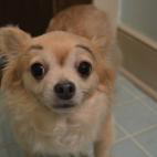 5c8b82a1240000f404a4e69c