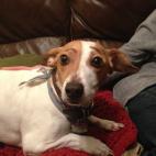 5c8b82a2240000f404a4e69e