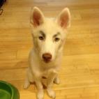 5c8b82a22400000a05a4e6a0