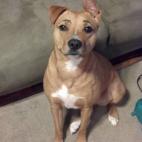 5c8b82a23b000002076dc34f