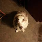 5c8b82a32300003000e860c6