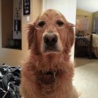 5c8b82a32300007f0124eaa4