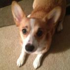 5c8b82a424000093024daa03