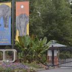 5c8b83a32300003000e862e5