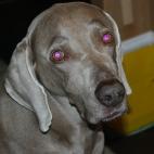 5c8b82a4230000dd0424eaa6