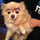 5c8b82a4360000a61b6d4372