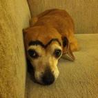 5c8b82a5200000430470f1c9