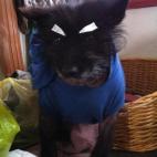 5c8b82a5200000450470f1cf