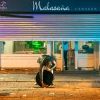 Burgos (Castilla y León)