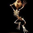 5c8b5af72000004304708c7f