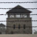 Alambrada de espino que rodea todo el campo.