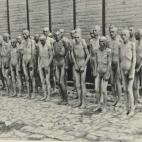 Por Mauthausen, liberado por el ejército estadounidense el 5 de mayo de 1945, y por otros campos de concentración dependientes de él, como Gusen, pasaron unos 200.000 prisioneros de diferentes nacionalidades, de los cuales murieron la mitad, ...