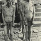 5c8aaca4360000ba1a6bdb2b