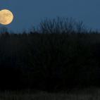 5c8b56b72300005300e7f2be