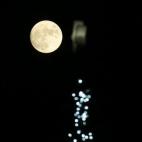 5c8b56b82300000401247c97