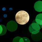 5c8b56b92300003000e7f2c2