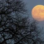 5c8b56ba2000009d03708382