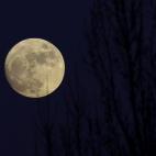 5c8b56ba230000dd04247c9d