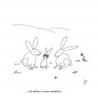 5c8b666c2400000a05a49f46