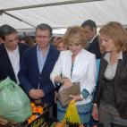 5c8a61312500005806811367