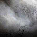 Fuego en los montes próximos a la localidad de Bárcena Mayor, Cantabria