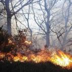 Cantabria ha acrivado el nivel 2 del INFOCANT, el plan de protección, lo que implica una situación de alerta máxima y la movilización de más medios externos para hacer frente a las llamas