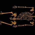 5c8acb9f2500001304c9a9a8