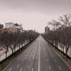 El paseo de la Castellana a la altura del Centro Comercial ABC Serrano