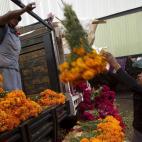 5c8acfbd230000d50423c0d7