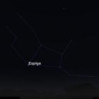 Después de pasar Arcturus y siguiendo el camino del arco hacia el sur llegamos a Espiga, que es la estrella más brillante de Virgo. Este astro es el punto más fácil de identificar de la constelación zodiacal.