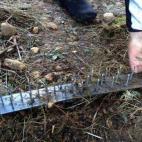 5c8b368c2300005300e7d833