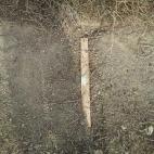 5c8b368c2300000401246219