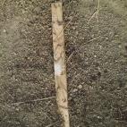 5c8b368d240000f7054d2092