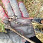 5c8b368e2400000a05a45cfb